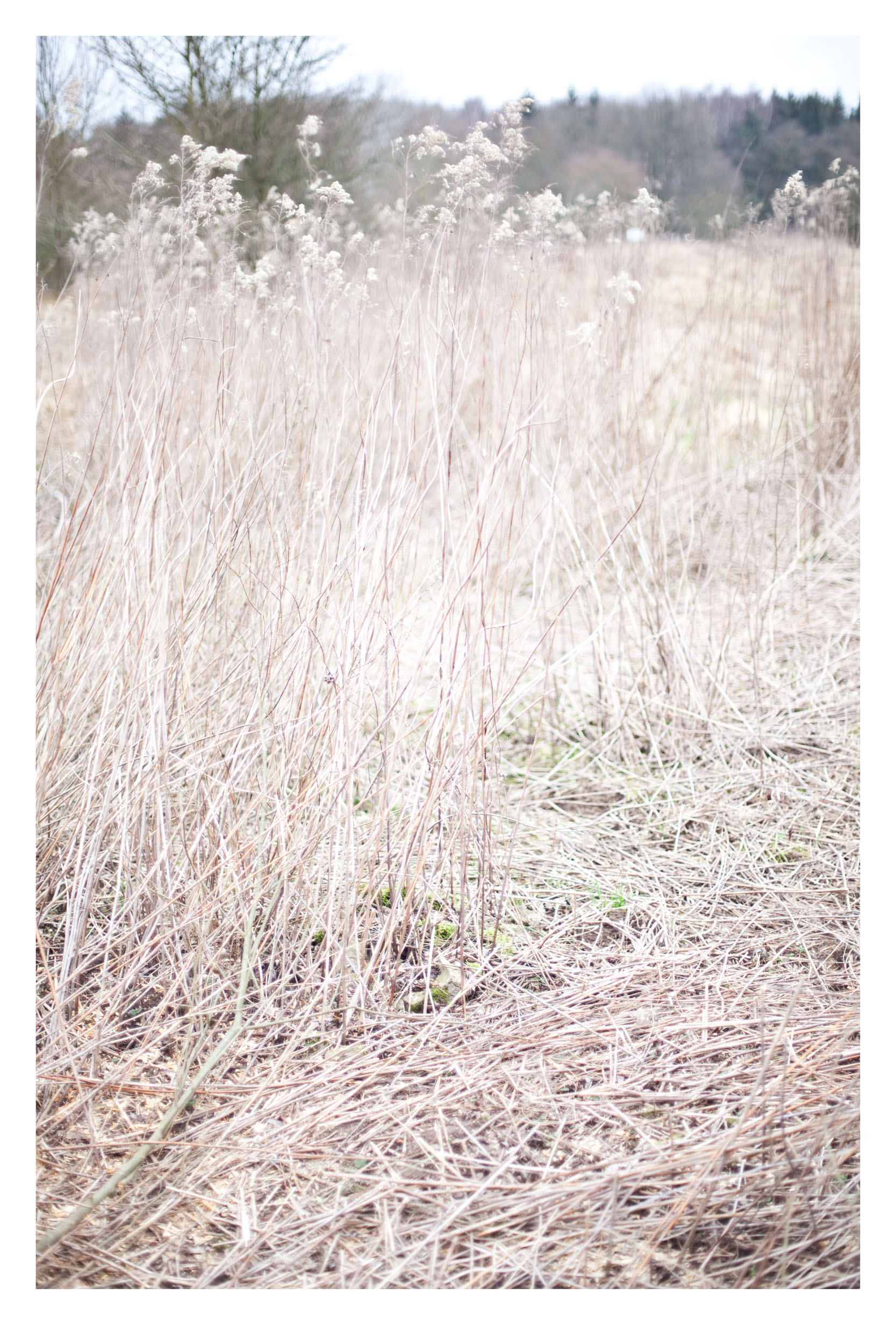 Landschaft