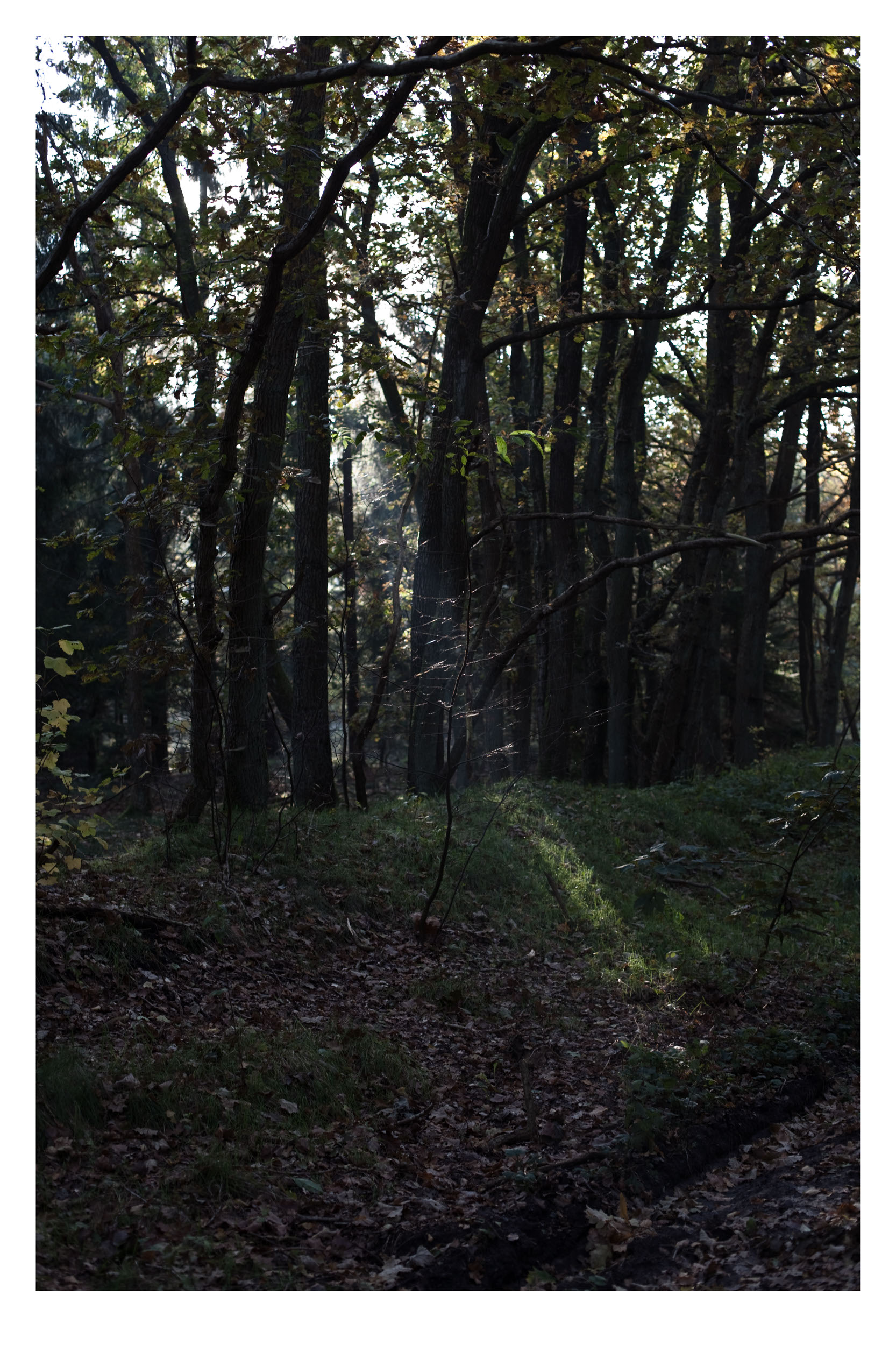 Landschaft