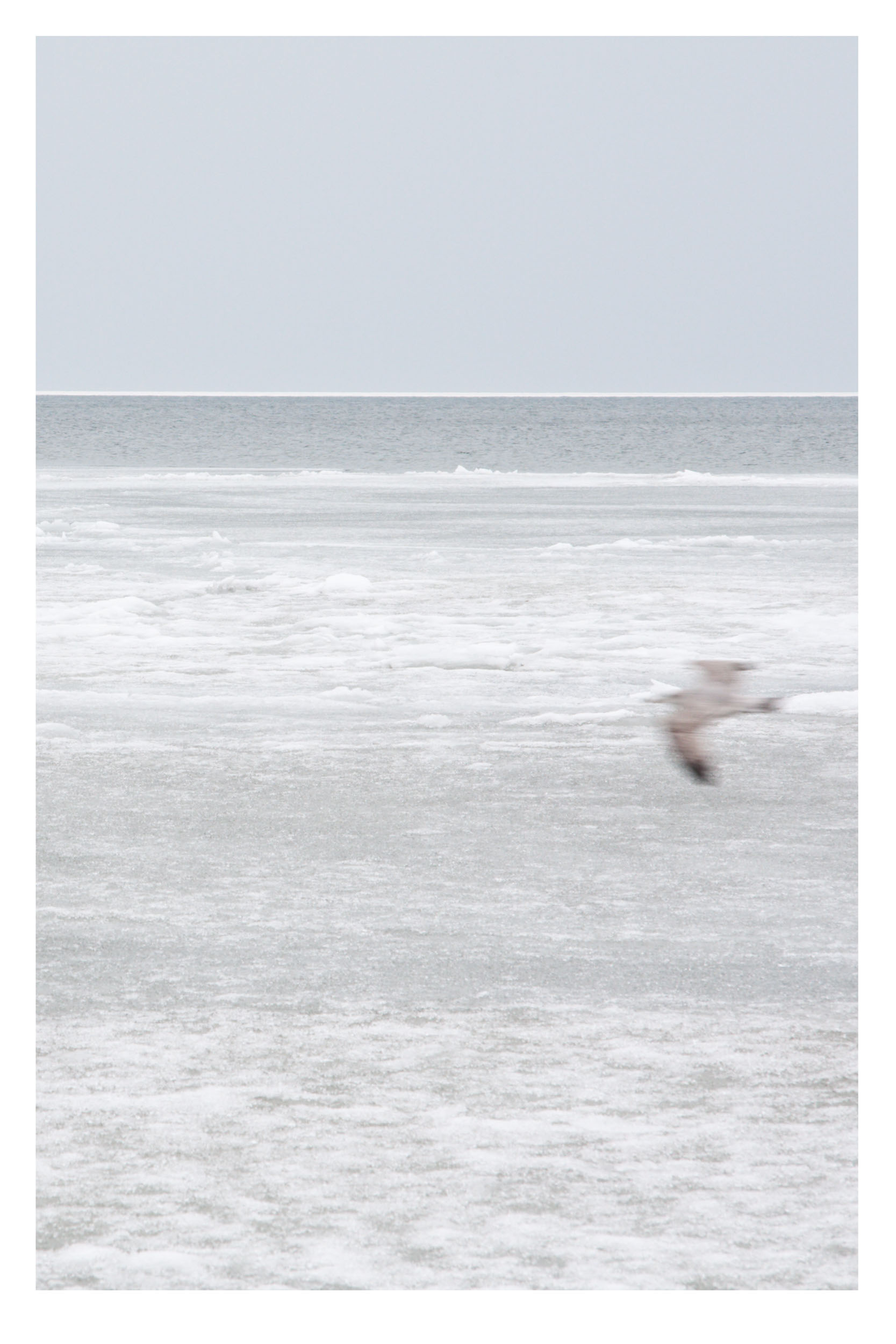 Meer
