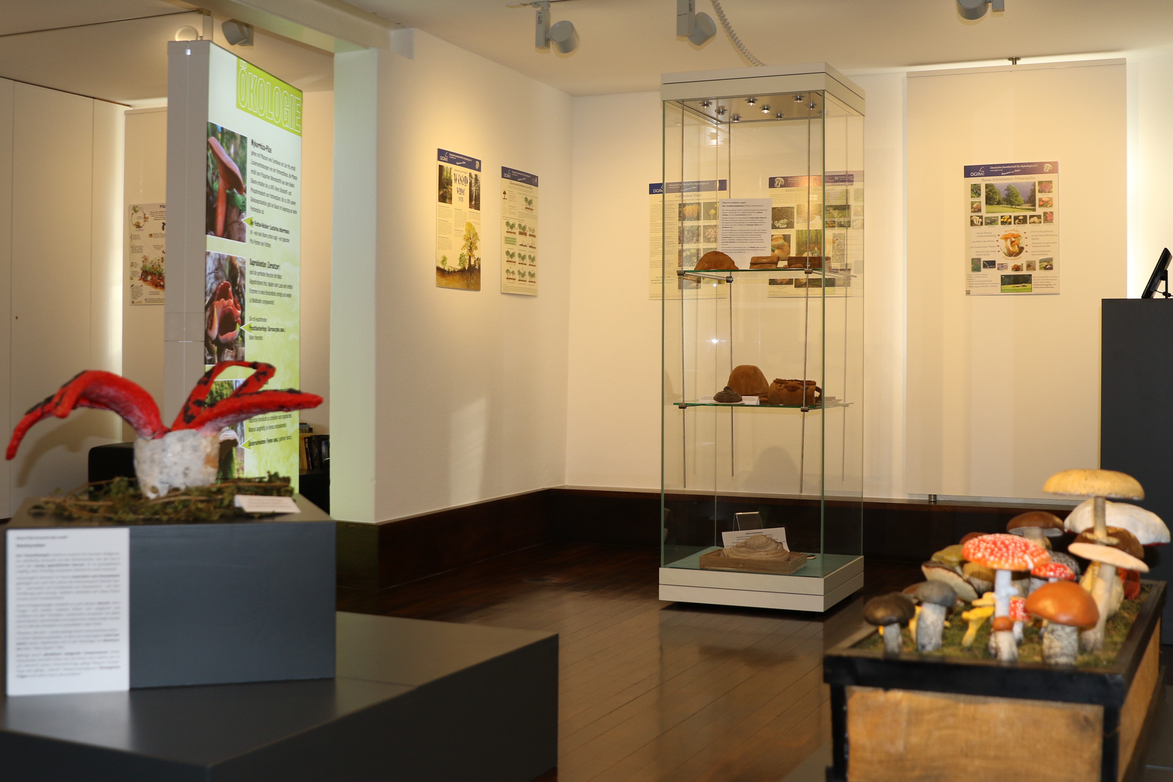 Ausstellung Faszination Pilze