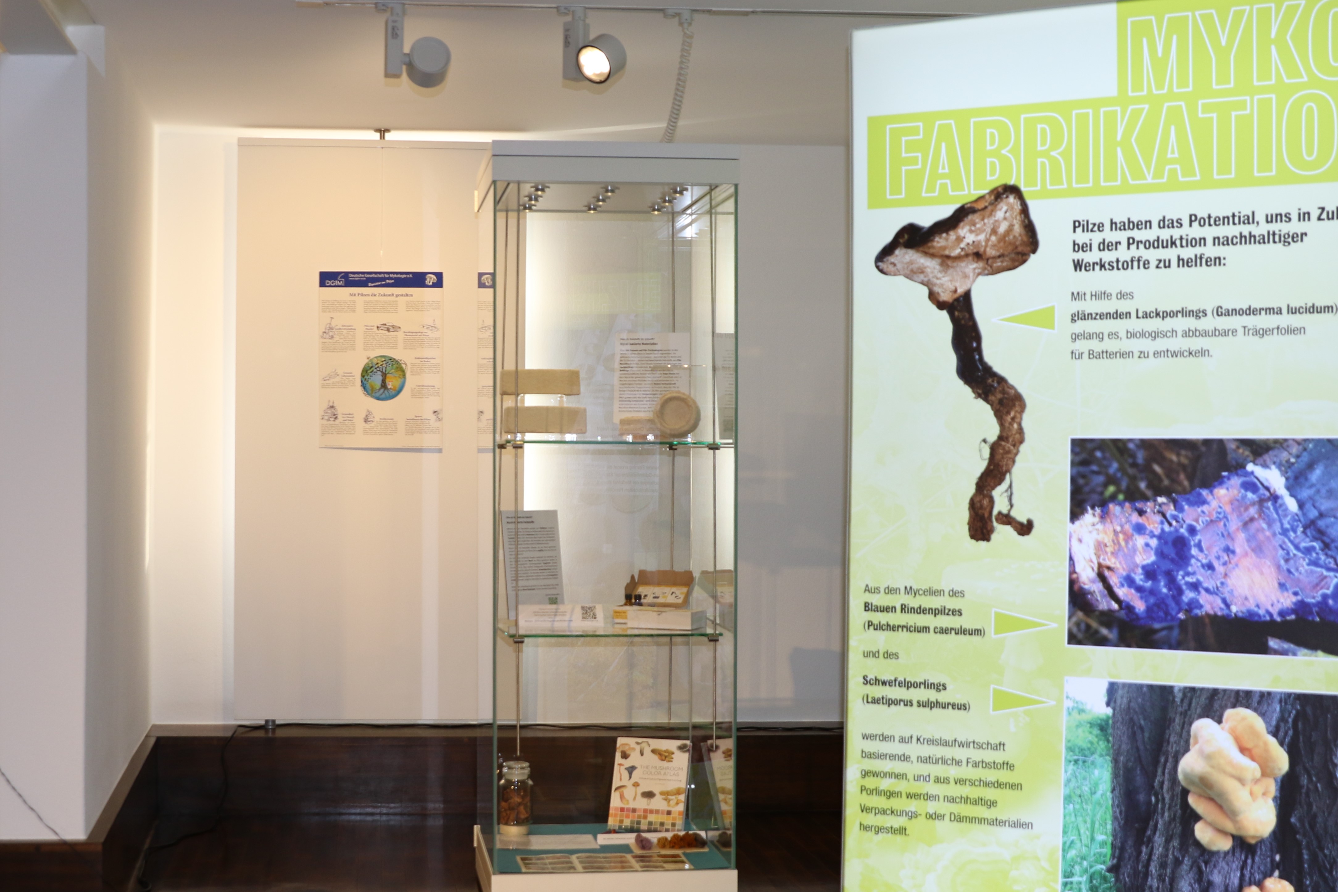 Ausstellung Faszination Pilze
