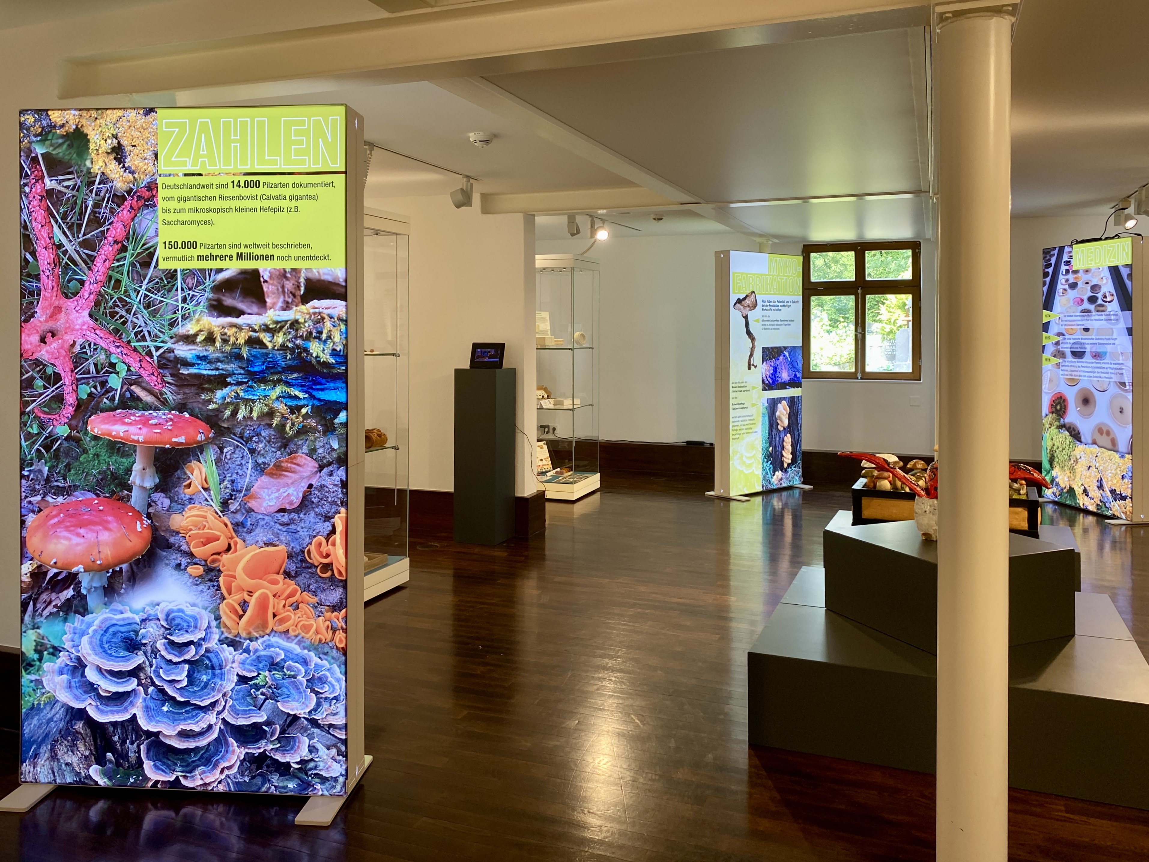 Ausstellung Faszination Pilze